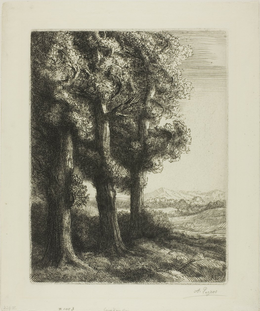 Puun reuna tekijältä Alphonse Legros