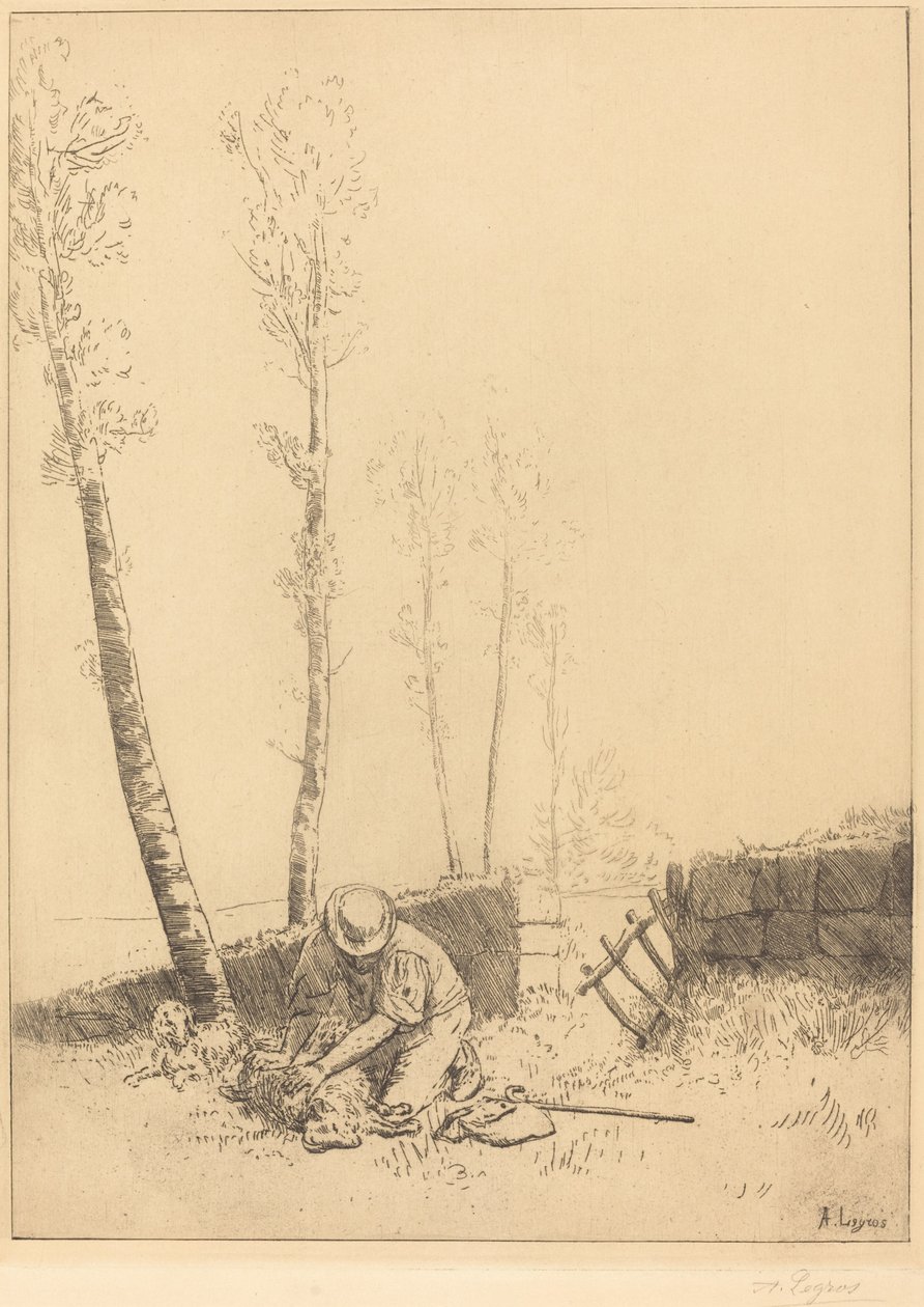 Sheep Le mouton retrouven löytäminen. tekijältä Alphonse Legros