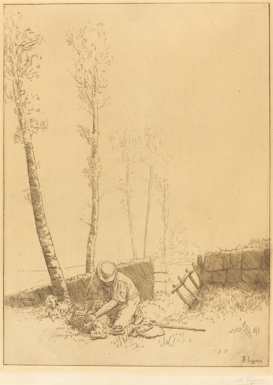 Sheep Le mouton retrouven löytäminen. tekijältä Alphonse Legros