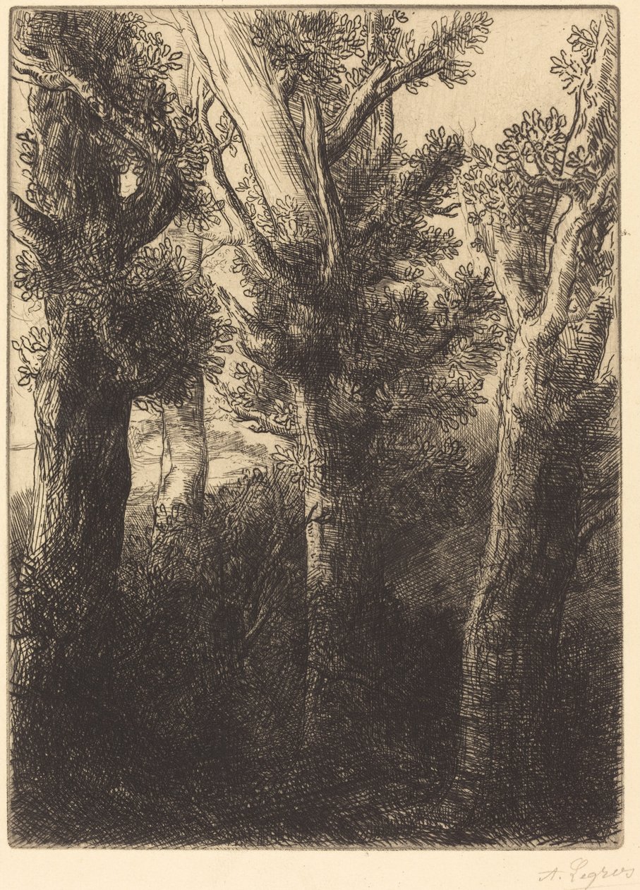 Saksan metsä, Downley tekijältä Alphonse Legros