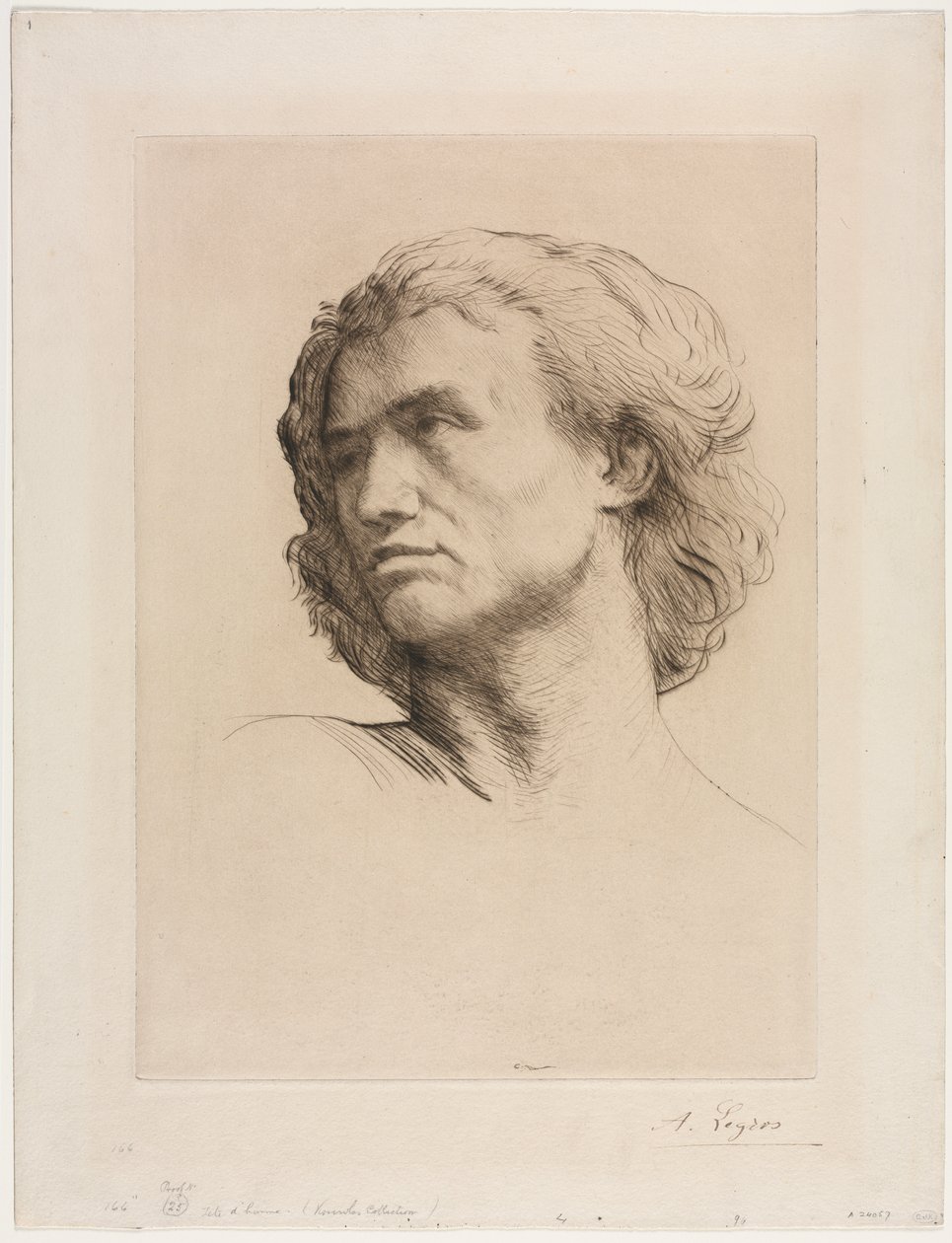 Miehen pää tekijältä Alphonse Legros