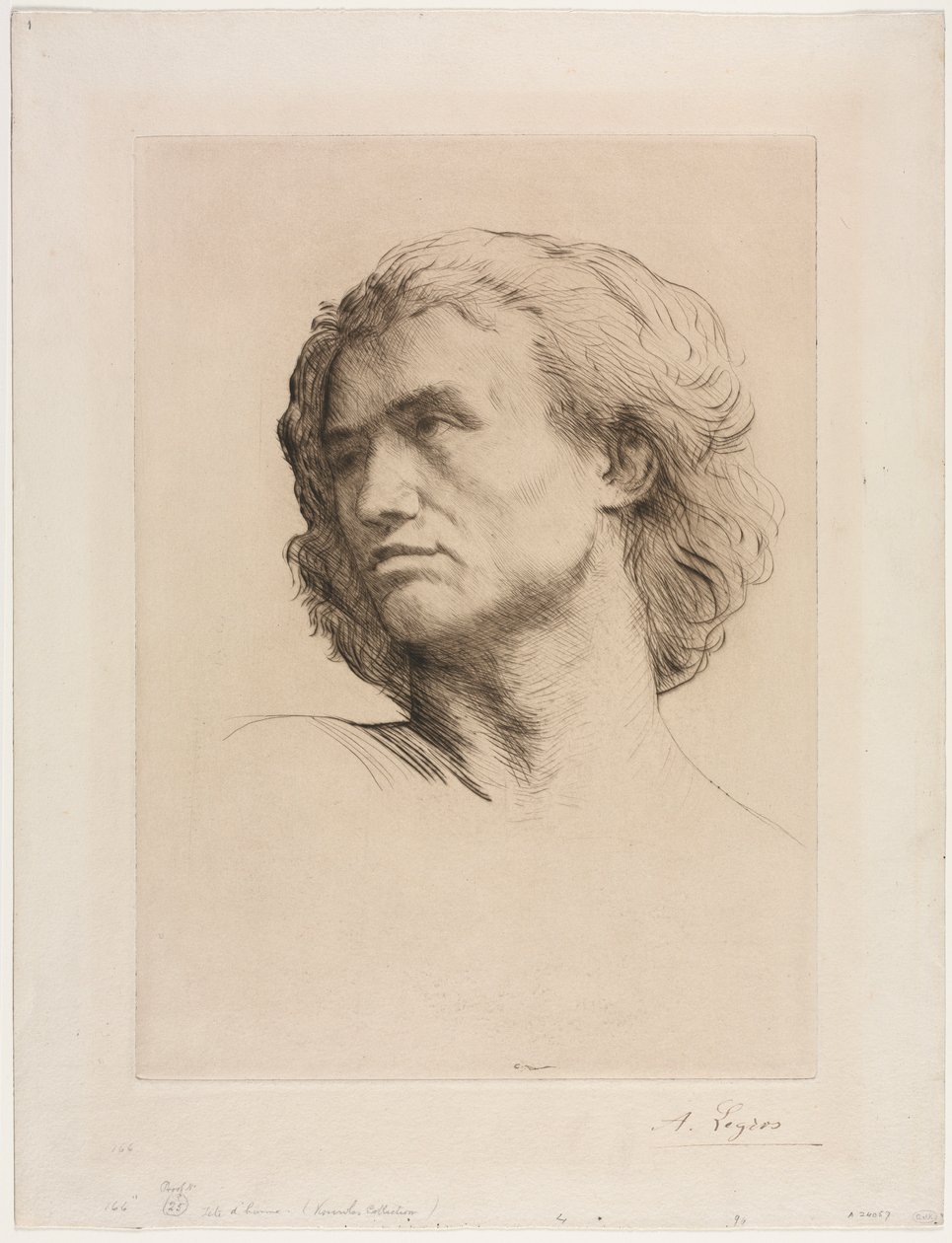 Miehen pää. tekijältä Alphonse Legros