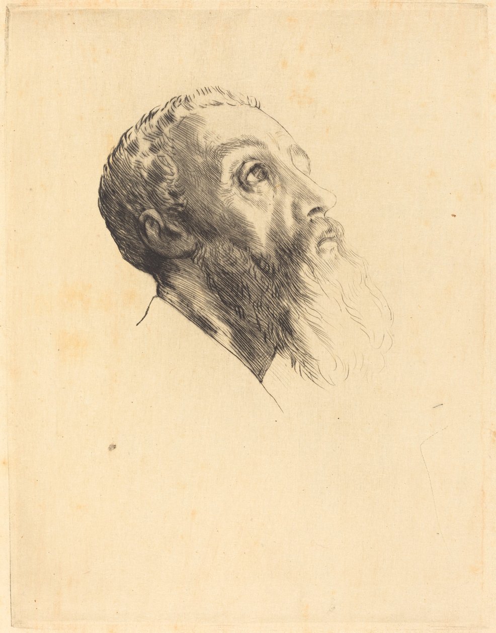 Mallin johtaja Mallien johtaja. tekijältä Alphonse Legros