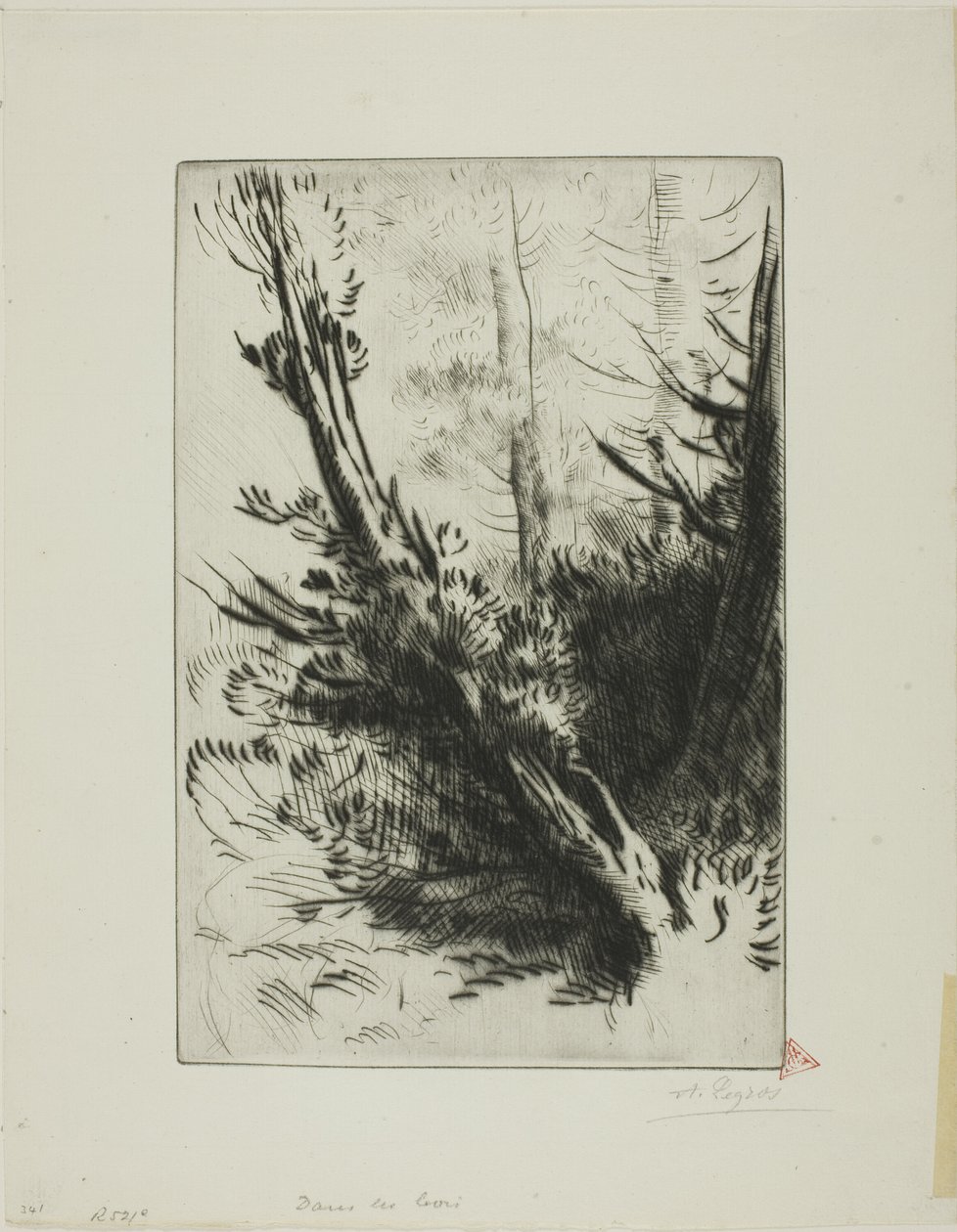 Puussa tekijältä Alphonse Legros