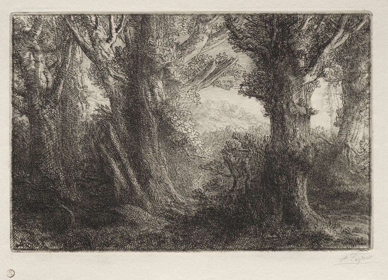 Contevillen metsässä. tekijältä Alphonse Legros