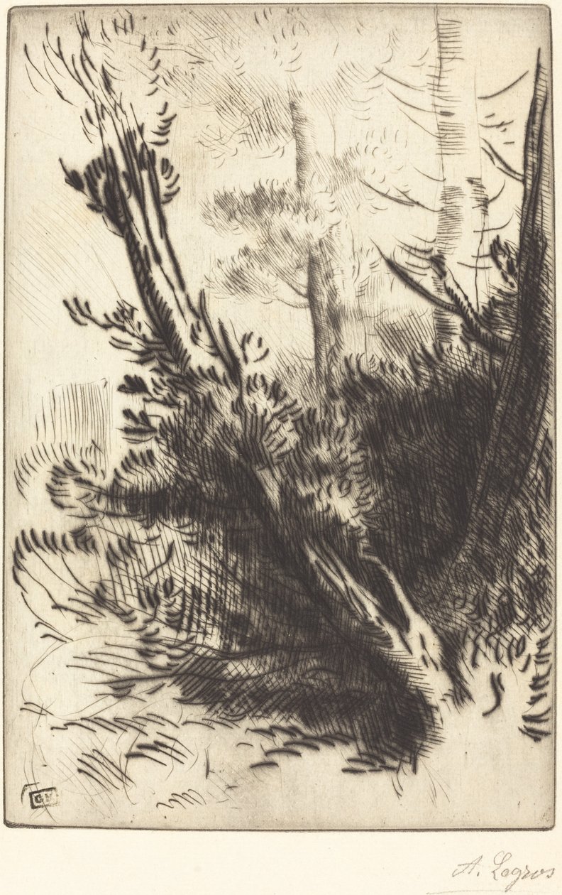 Metsässä tekijältä Alphonse Legros