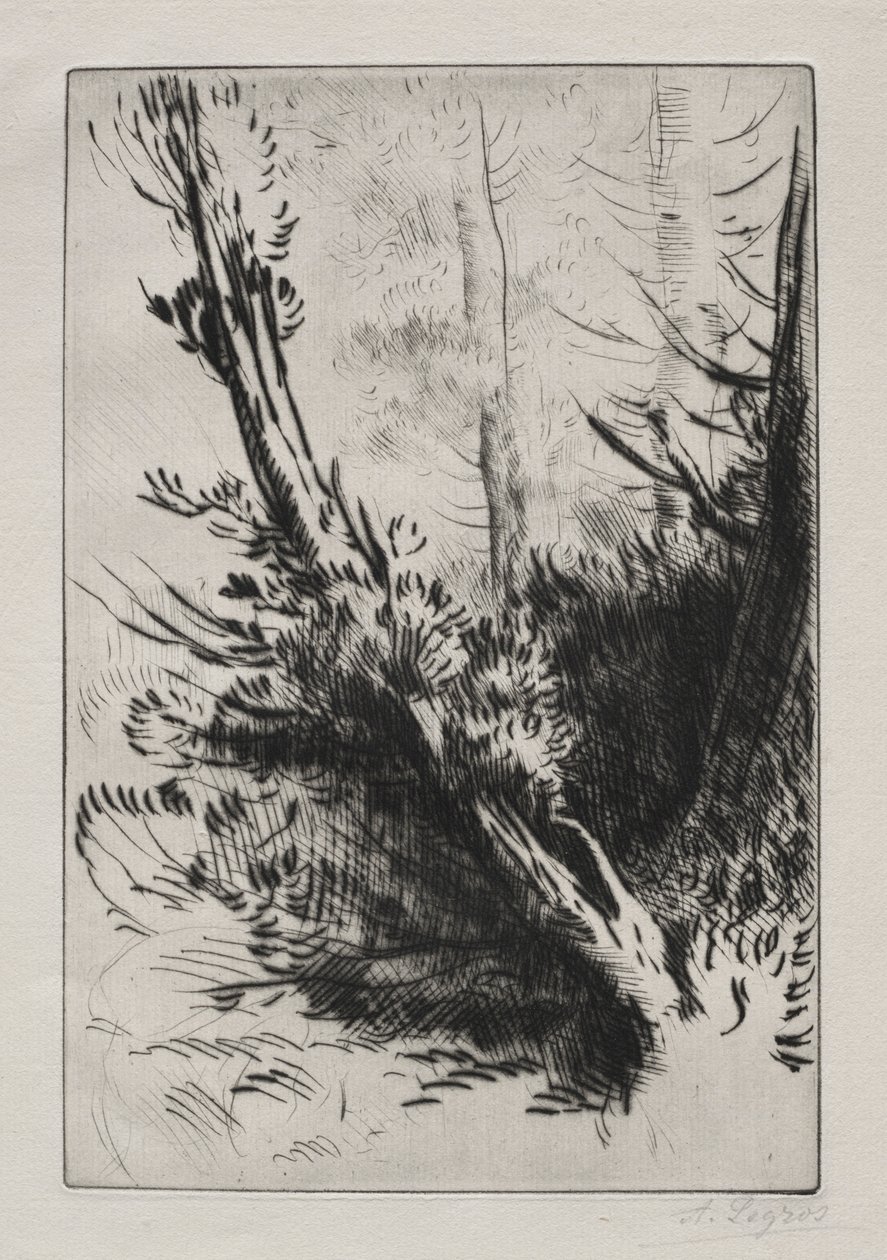 Metsässä. tekijältä Alphonse Legros