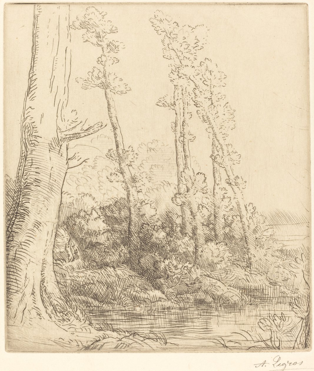 Pikku lampi (La petite mare) tekijältä Alphonse Legros