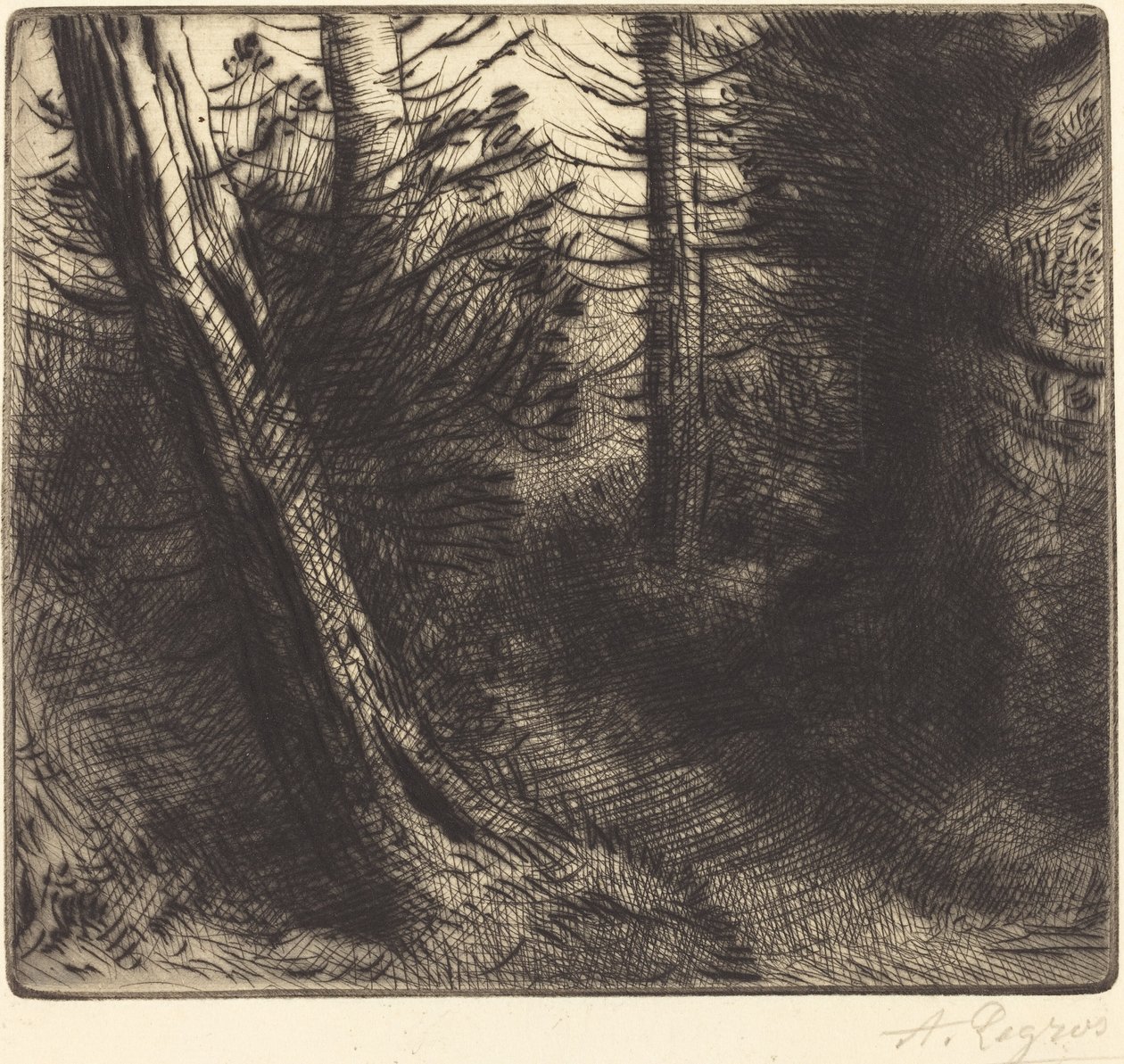 Polku metsän läpi Polku metsän läpi. tekijältä Alphonse Legros