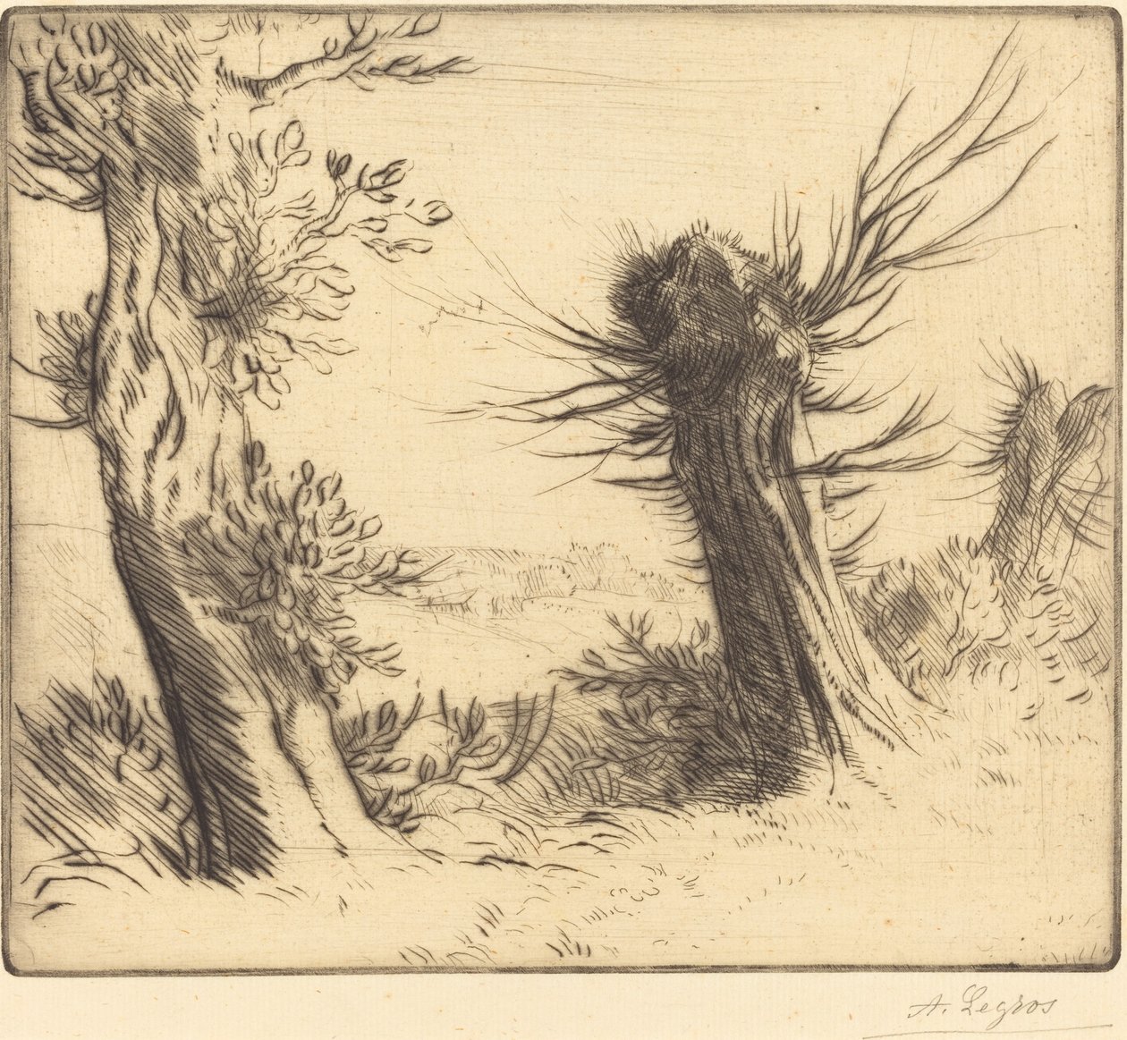 Pajut (Les saules) tekijältä Alphonse Legros