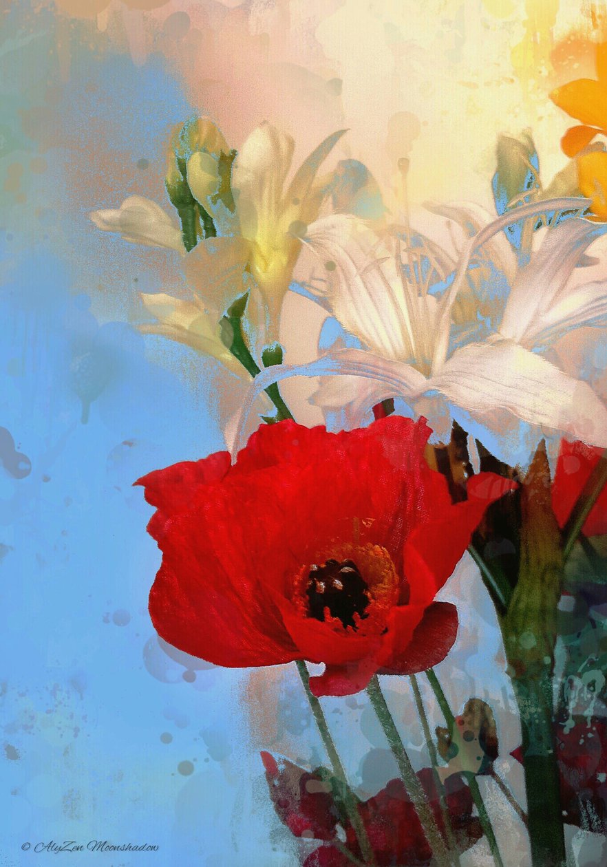 Poppy on blue, 2014, (digitaalinen sekamediafonografia) tekijältä AlyZen Moonshadow