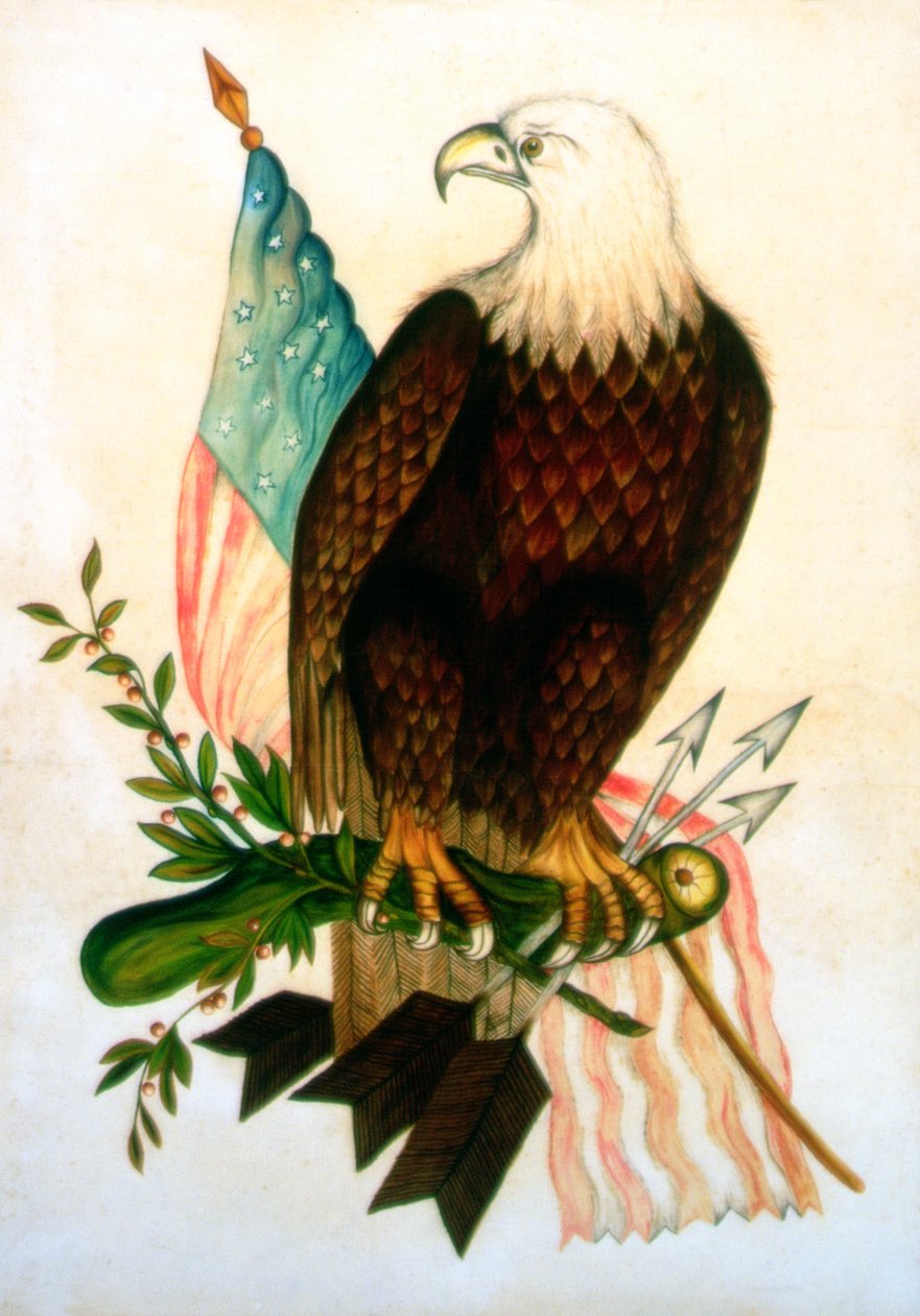 Kaljukotka lipulla (tempera sametilla) tekijältä American School
