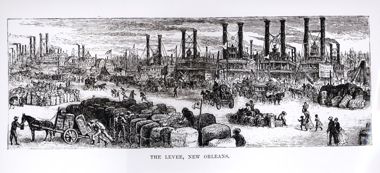 The Levee, New Orleans tekijältä American School