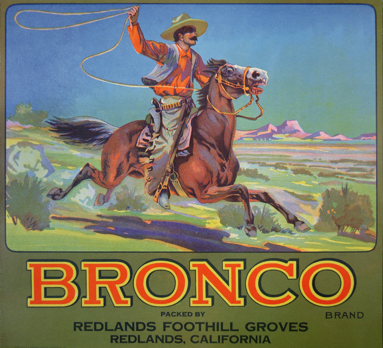 "Bronco Oranges", n. 1900 (väri litho) tekijältä American School