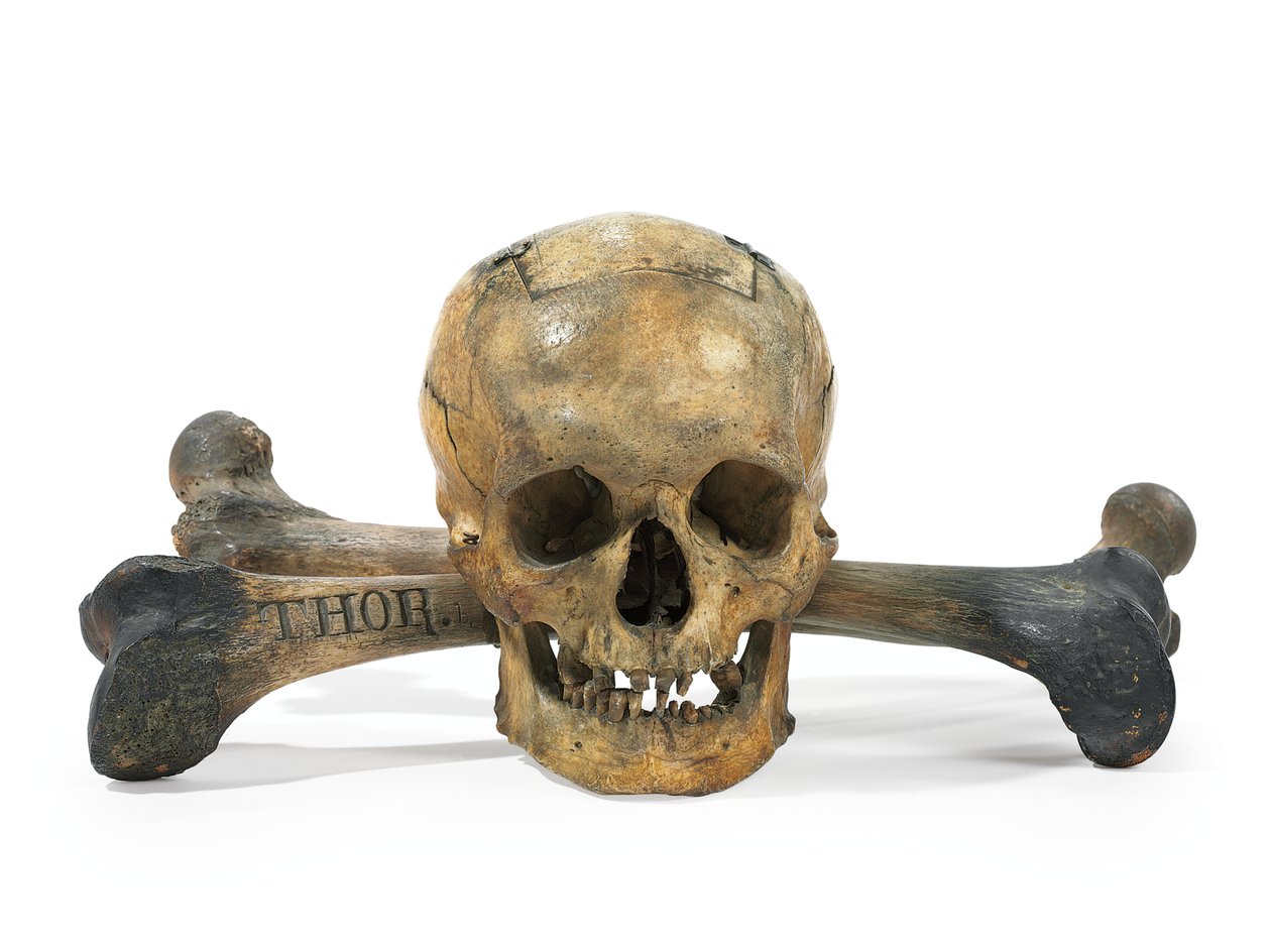 Skull-and-Bones -äänesurna (luu) tekijältä American School
