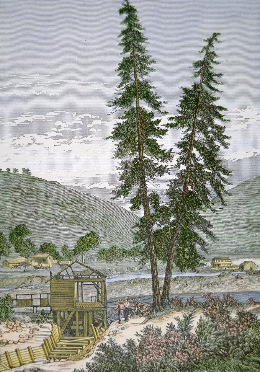 Sutterin mylly tekijältä American School