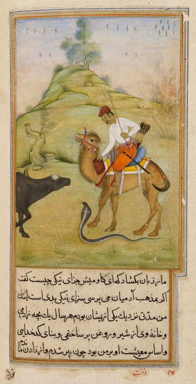 Camel Rider, kuvitus teoksesta "Anvar-i Suhayli" tekijältä Anant Anant