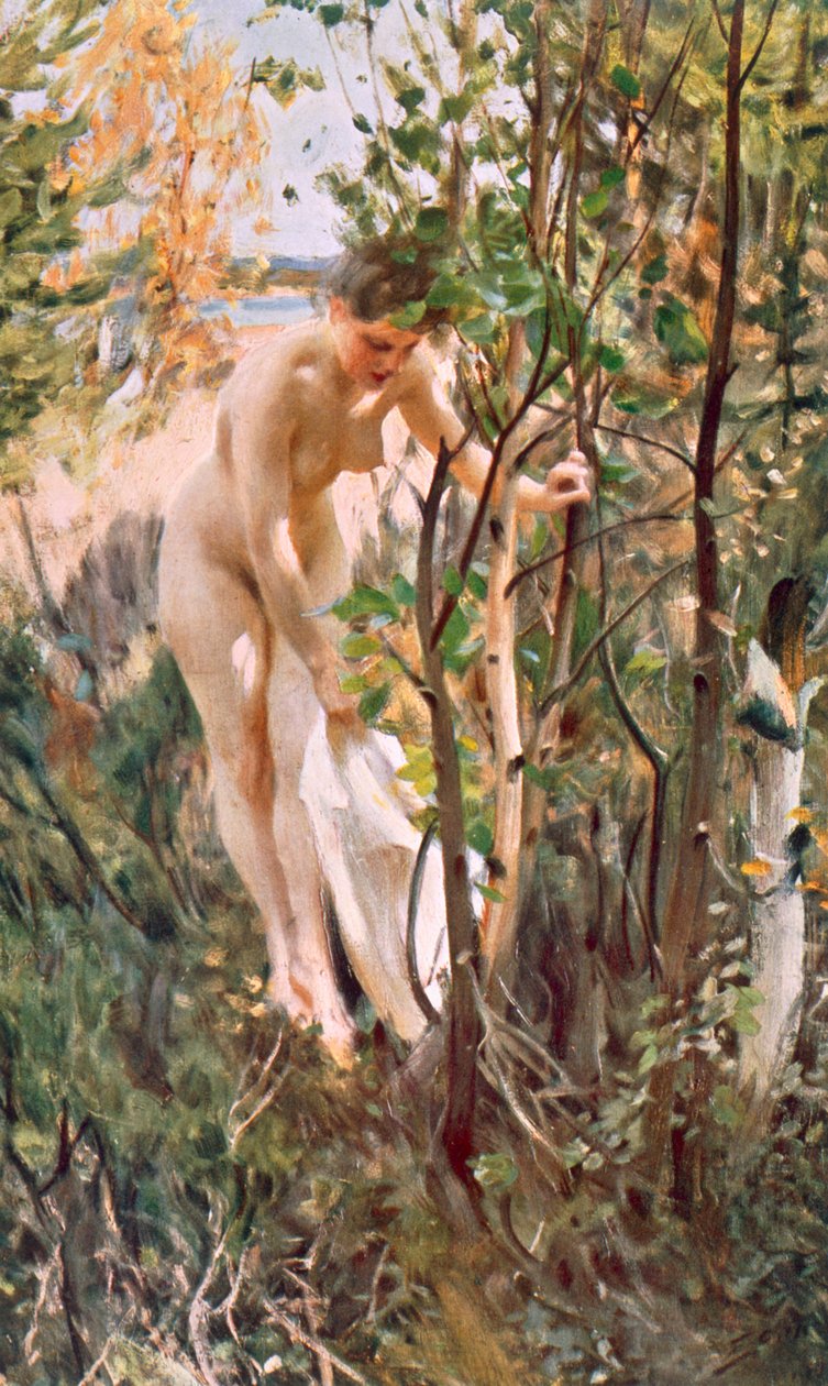 aatto tekijältä Anders Leonard Zorn