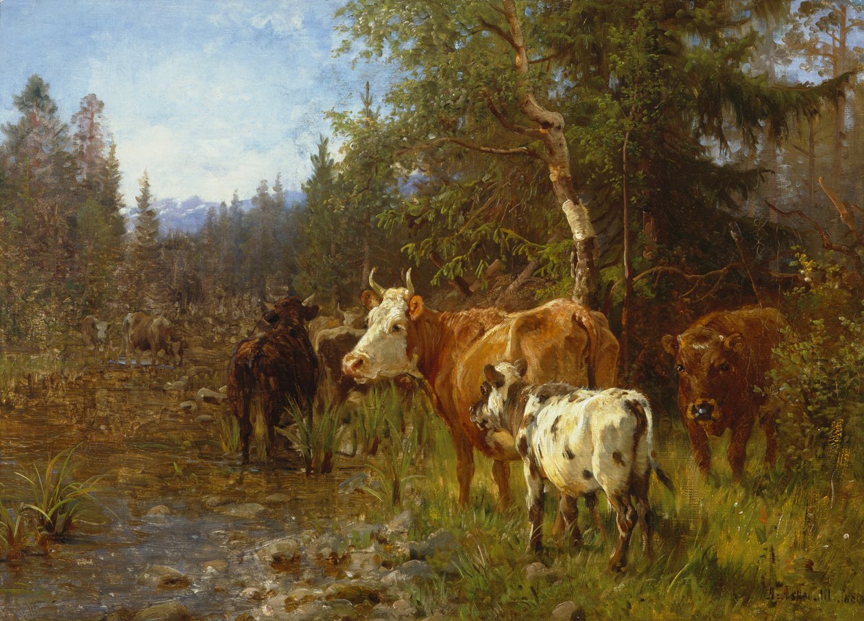 Lehmiä vesipostin luona tekijältä Anders Askevold