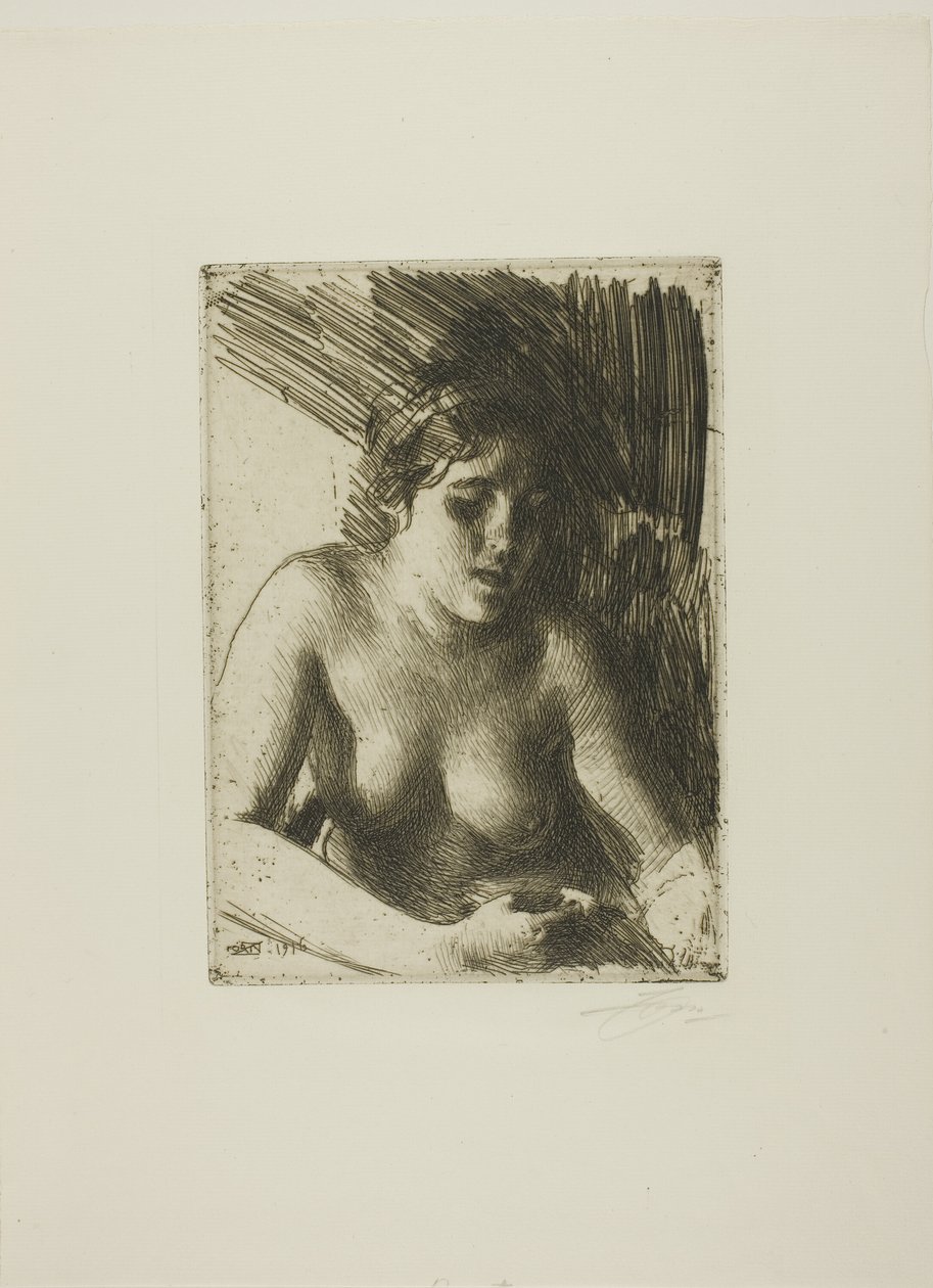 Rintakuva tekijältä Anders Leonard Zorn