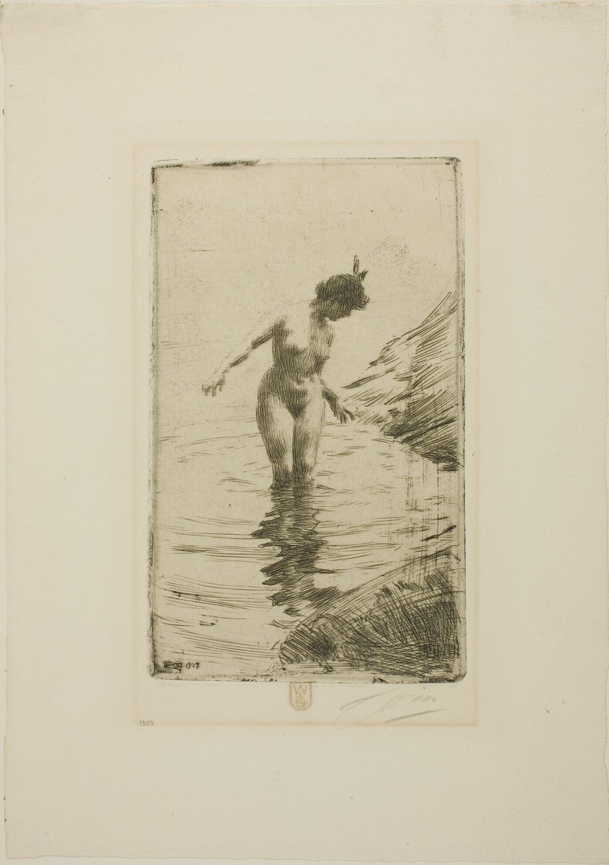 Veden ympyrät II tekijältä Anders Zorn