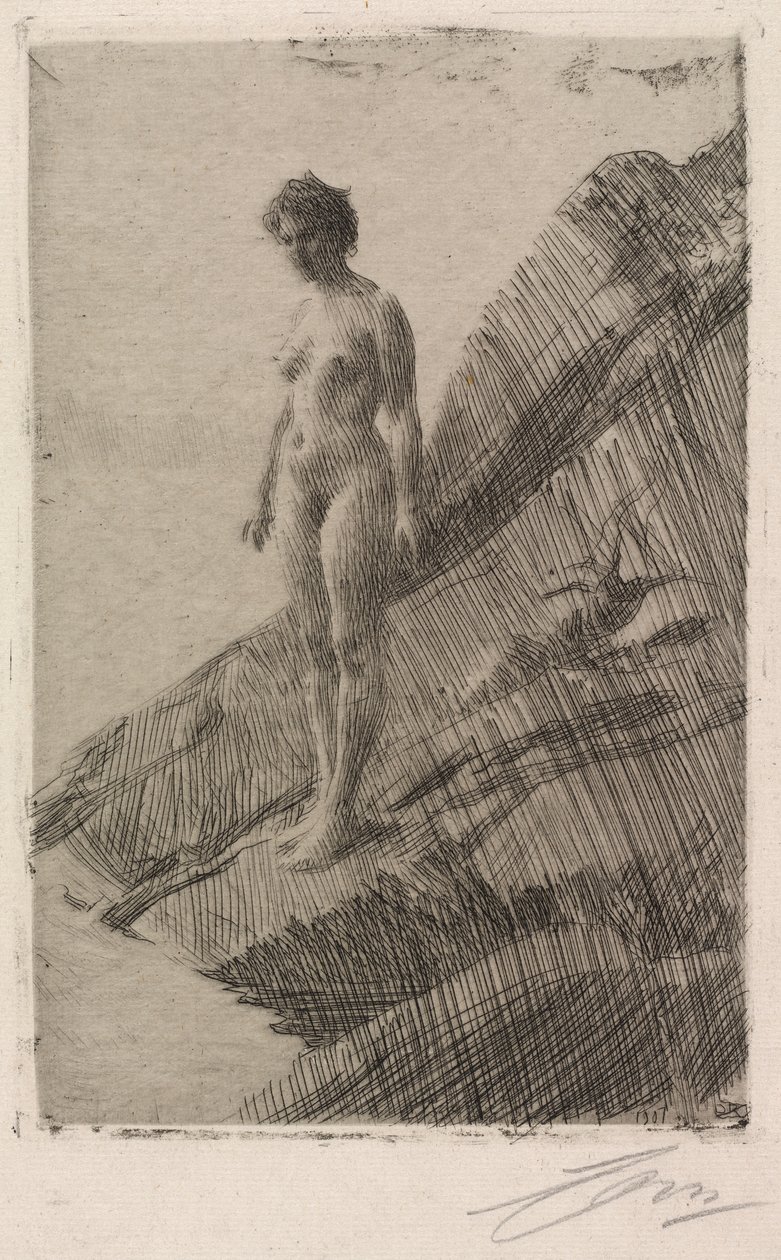 Tämä se on tekijältä Anders Leonard Zorn