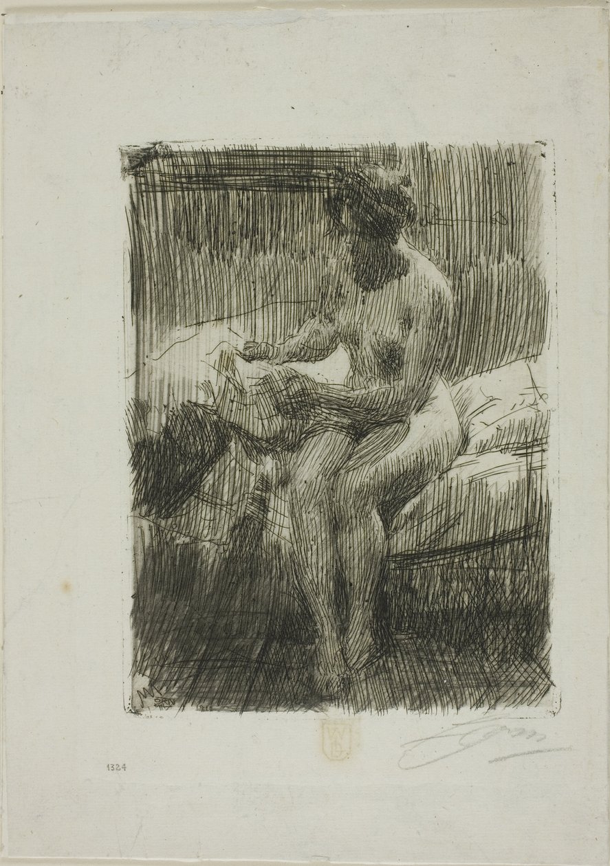 Mallin lukeminen tekijältä Anders Leonard Zorn