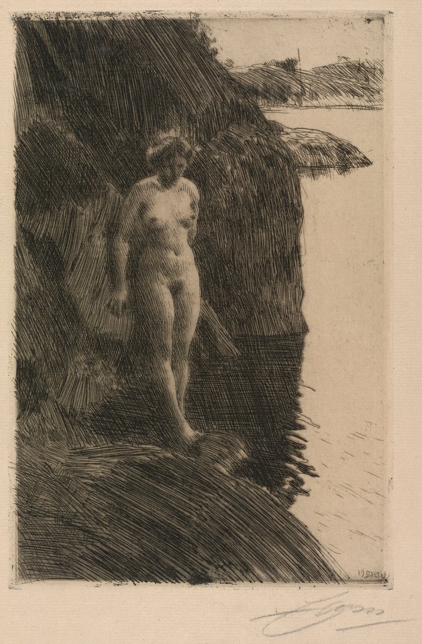 Sakka tekijältä Anders Leonard Zorn