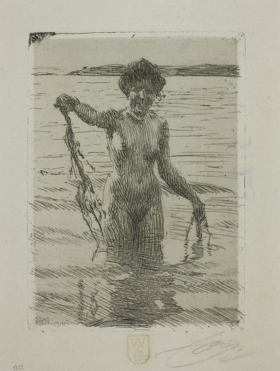 Merilevä tekijältä Anders Leonard Zorn