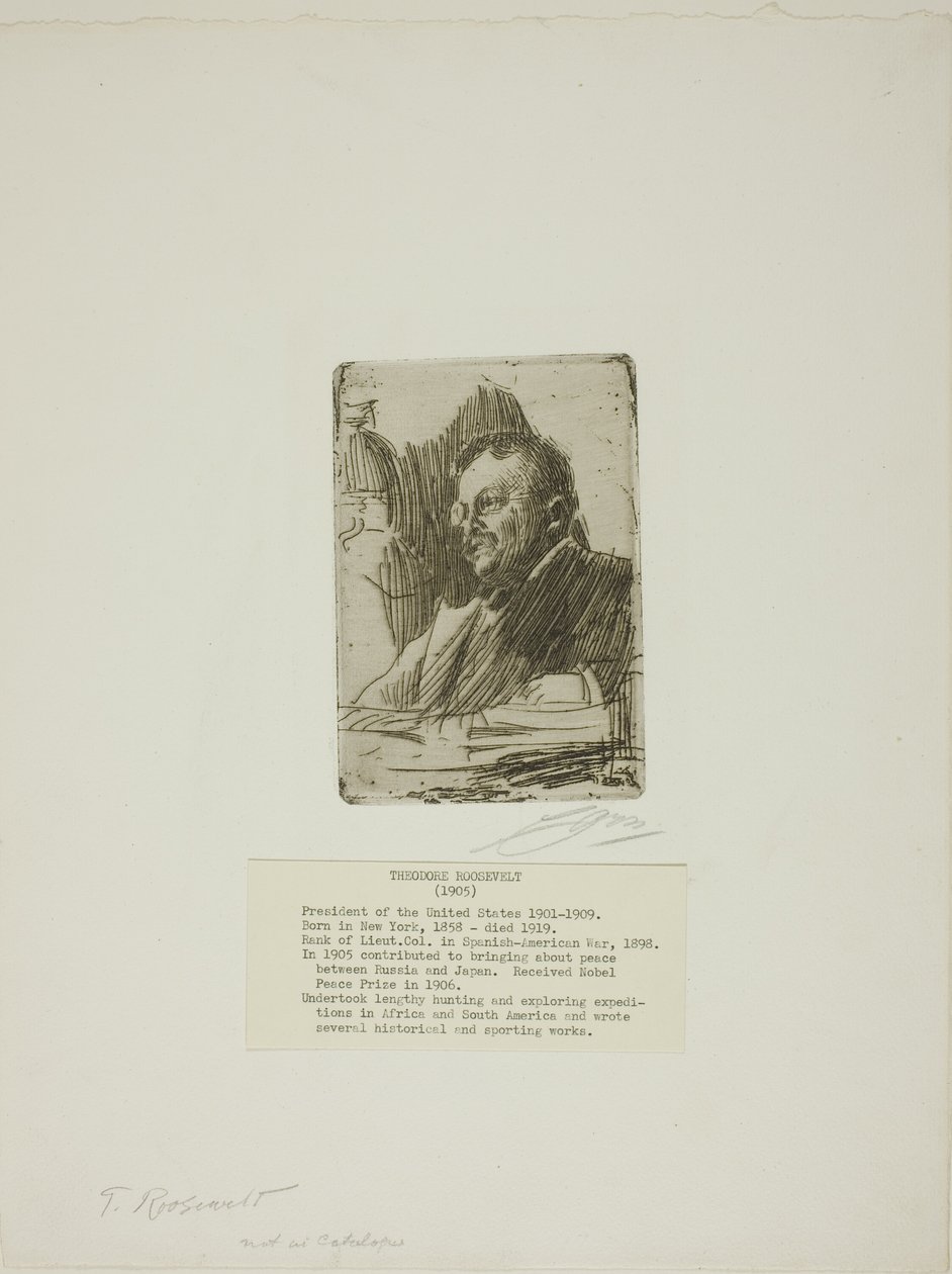Theodore Roosevelt tekijältä Anders Leonard Zorn