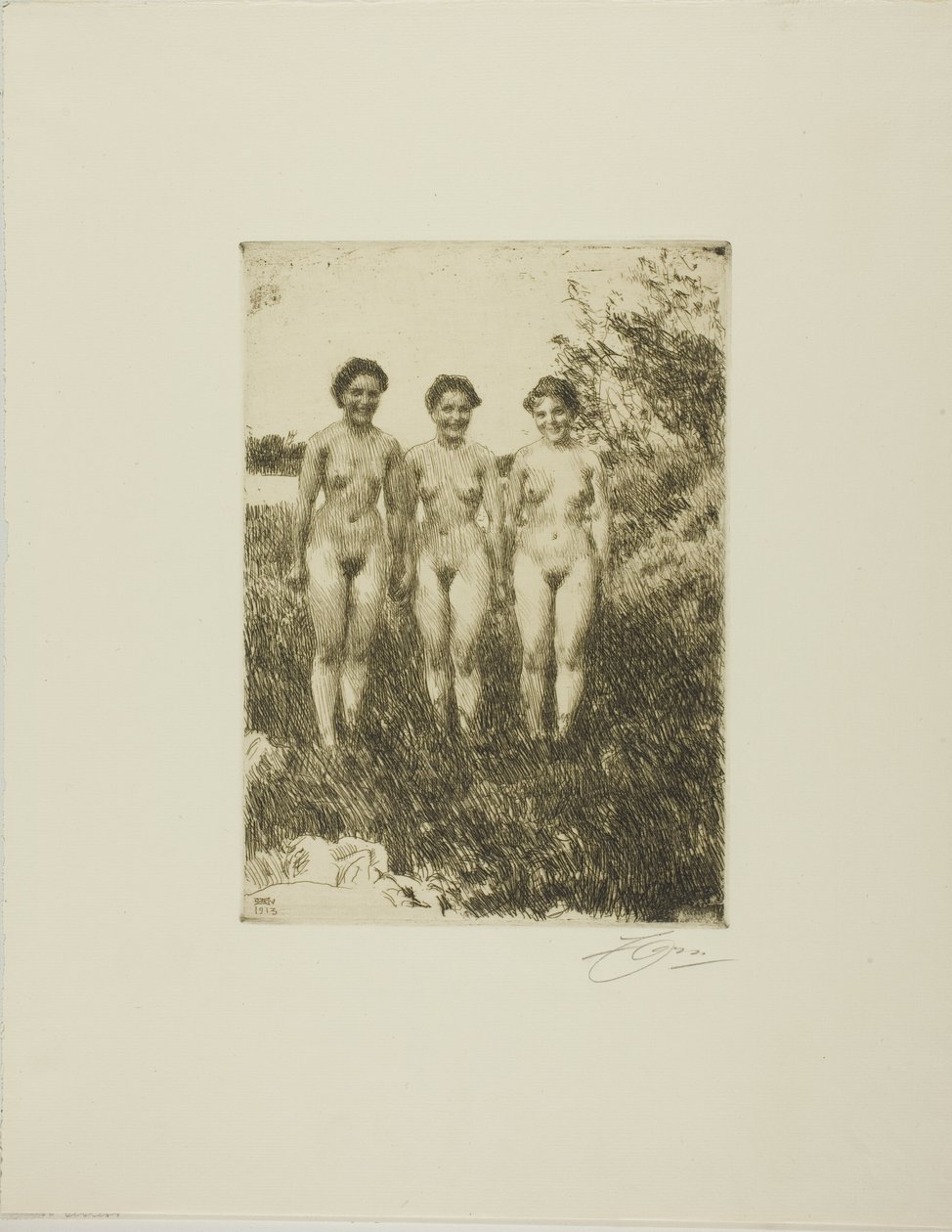 Kolme siskoa tekijältä Anders Leonard Zorn
