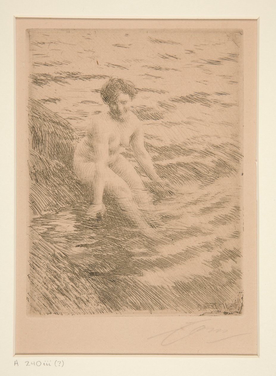 Märkä tekijältä Anders Leonard Zorn