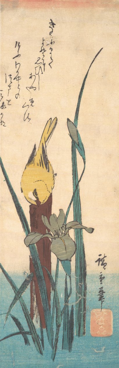 Lintu ja Iris. tekijältä Ando Hiroshige