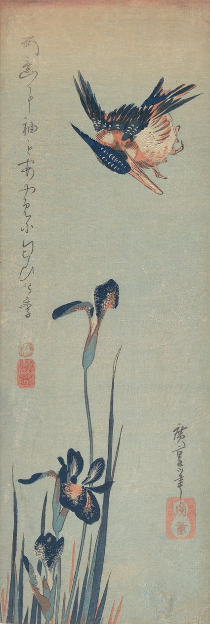 Kingfisher ja Irises, 1832-34., 1832-34. tekijältä Ando Hiroshige