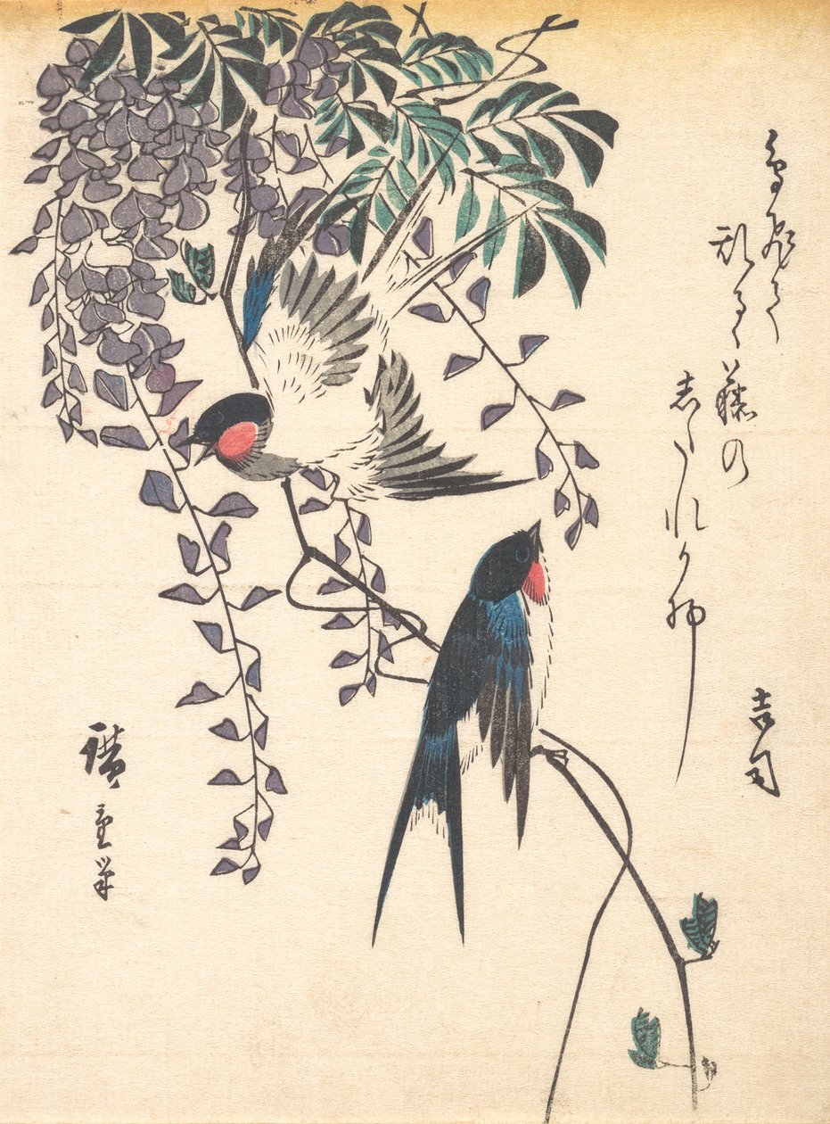 Swallow ja Wisteria, 1840-luvun puoliväli, 1840-luvun puoliväli. tekijältä Ando Hiroshige