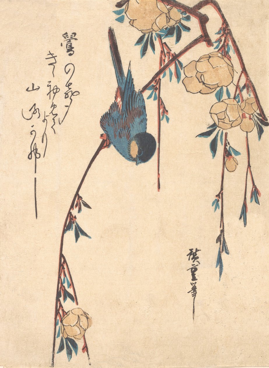 Itkevä kirsikka. tekijältä Ando Hiroshige