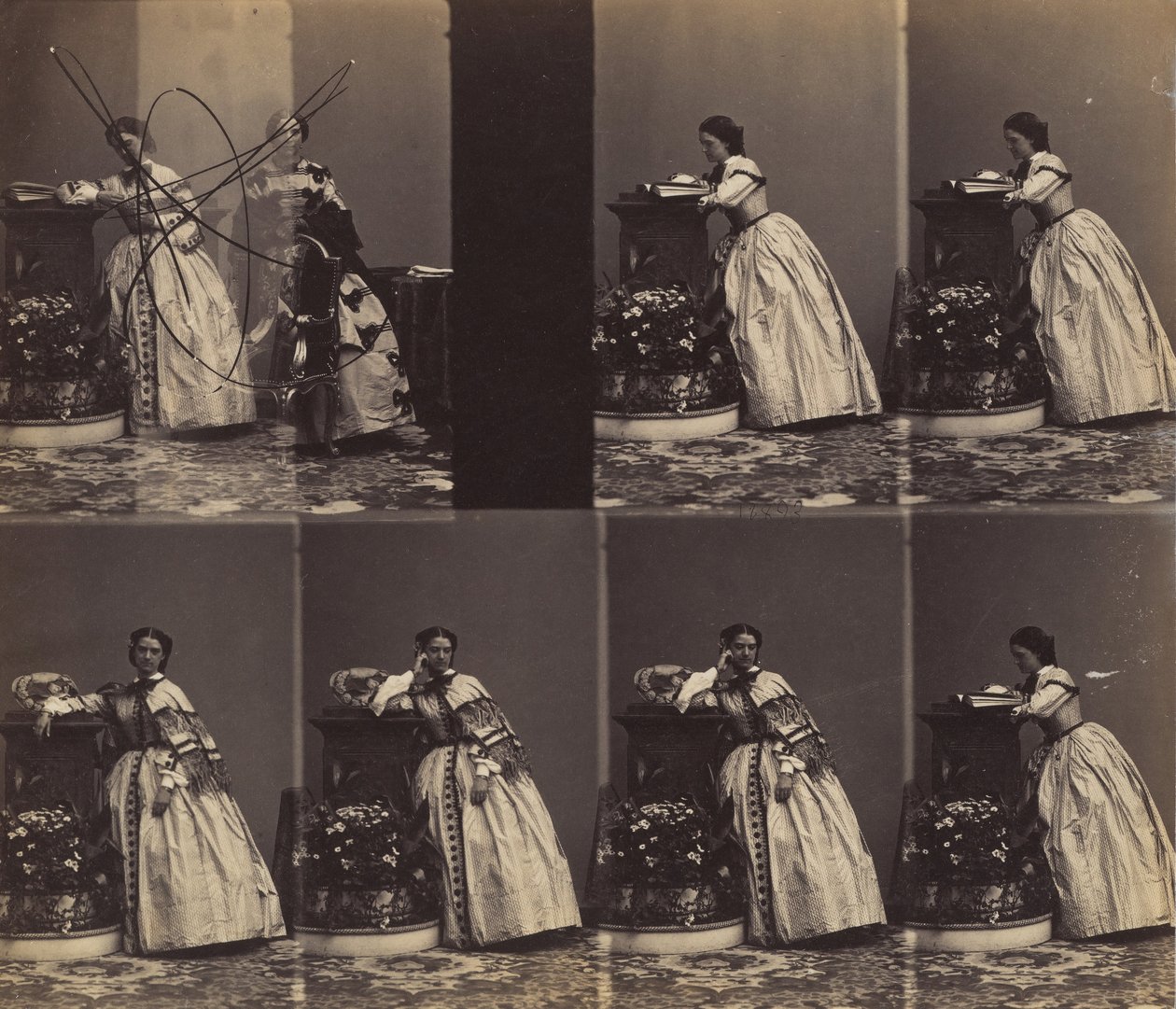 V Queniaus, touko-kesäkuu 1860. tekijältä Andre Adolphe Eugene Disderi