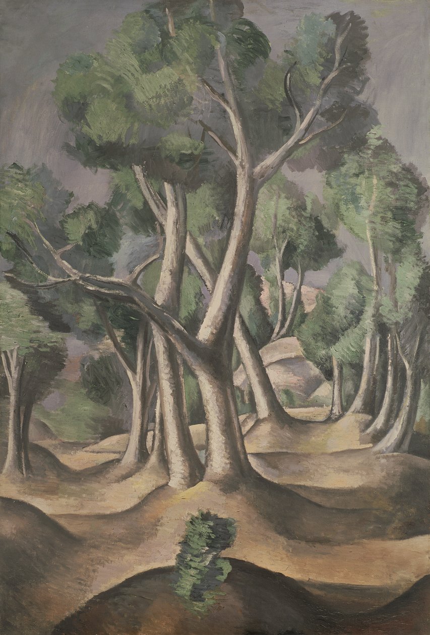 Grove tekijältä Andre Derain