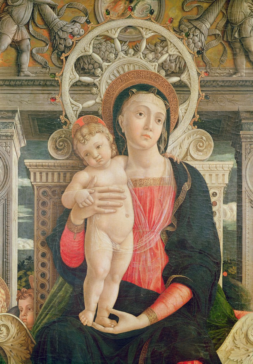 Veronan Pyhän Zenon alttaritaulu, Neitsyt ja Kristuslapsi, 1456-60 (yksityiskohta kuvasta 237994). tekijältä Andrea Mantegna