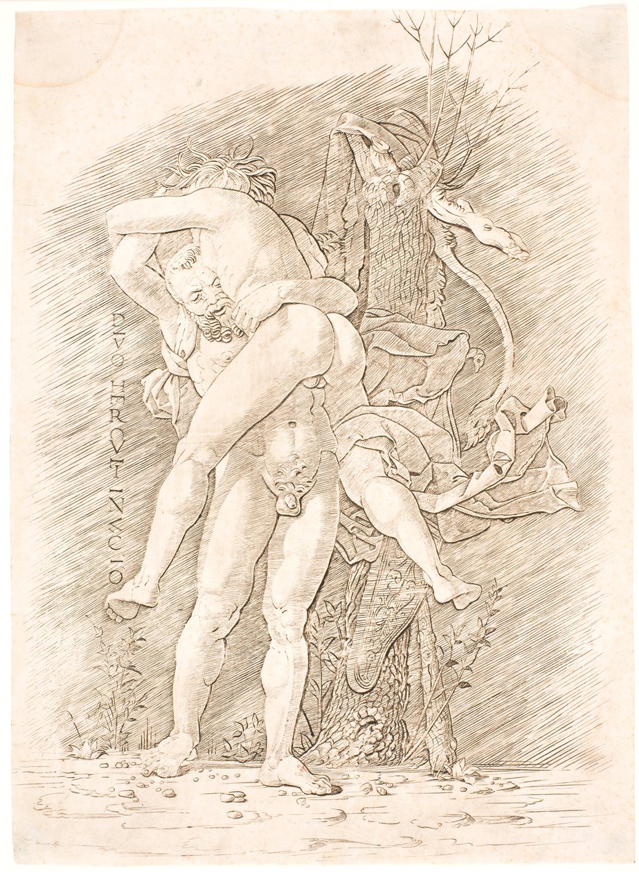 Hercules ja Antaeus tekijältä Andrea Mantegna
