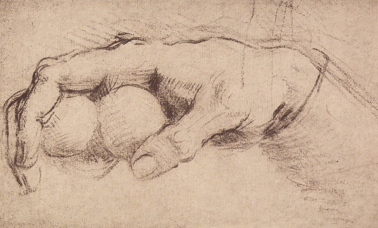 Käsi; piirustus tekijältä Andrea del Sarto