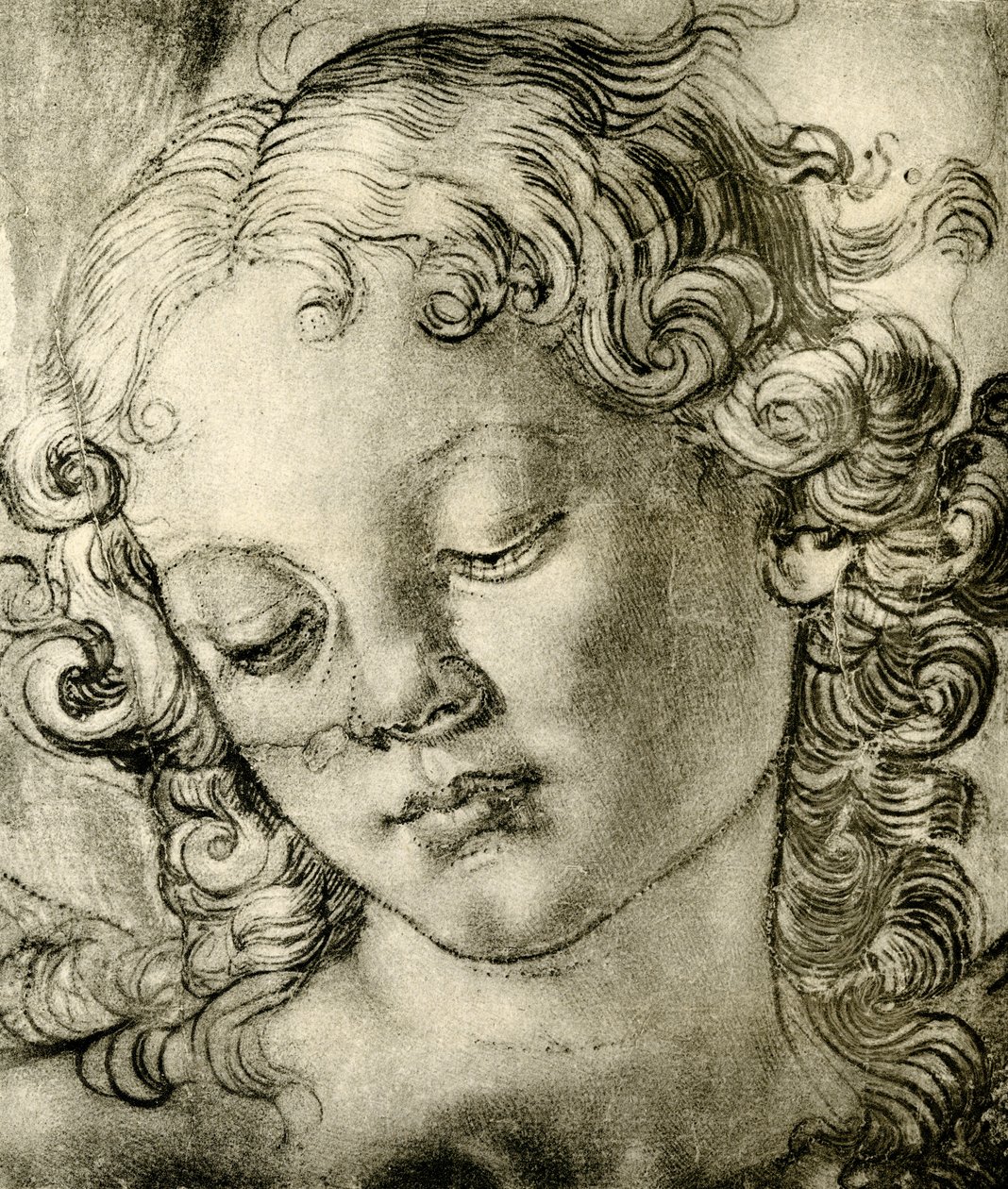 Enkelin pää tekijältä Andrea del Verrocchio