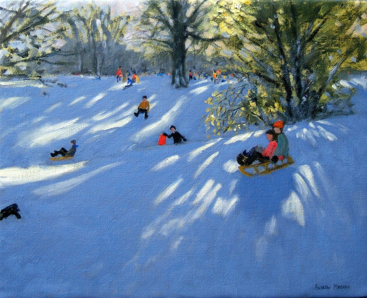 Varhainen lumi, Darley Park, Derby tekijältä Andrew Macara