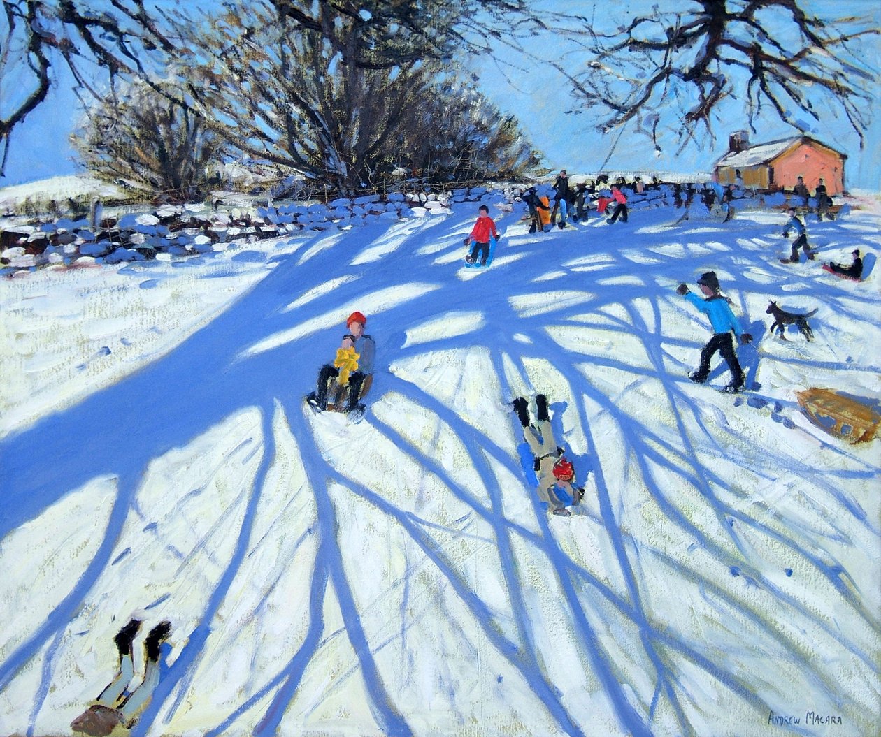 Varjo, Derbyshire tekijältä Andrew Macara