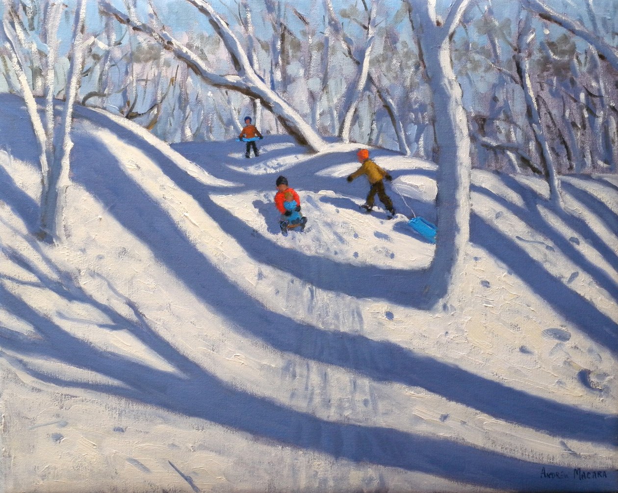 Winter Bramcote Nottingham, 2008 tekijältä Andrew Macara