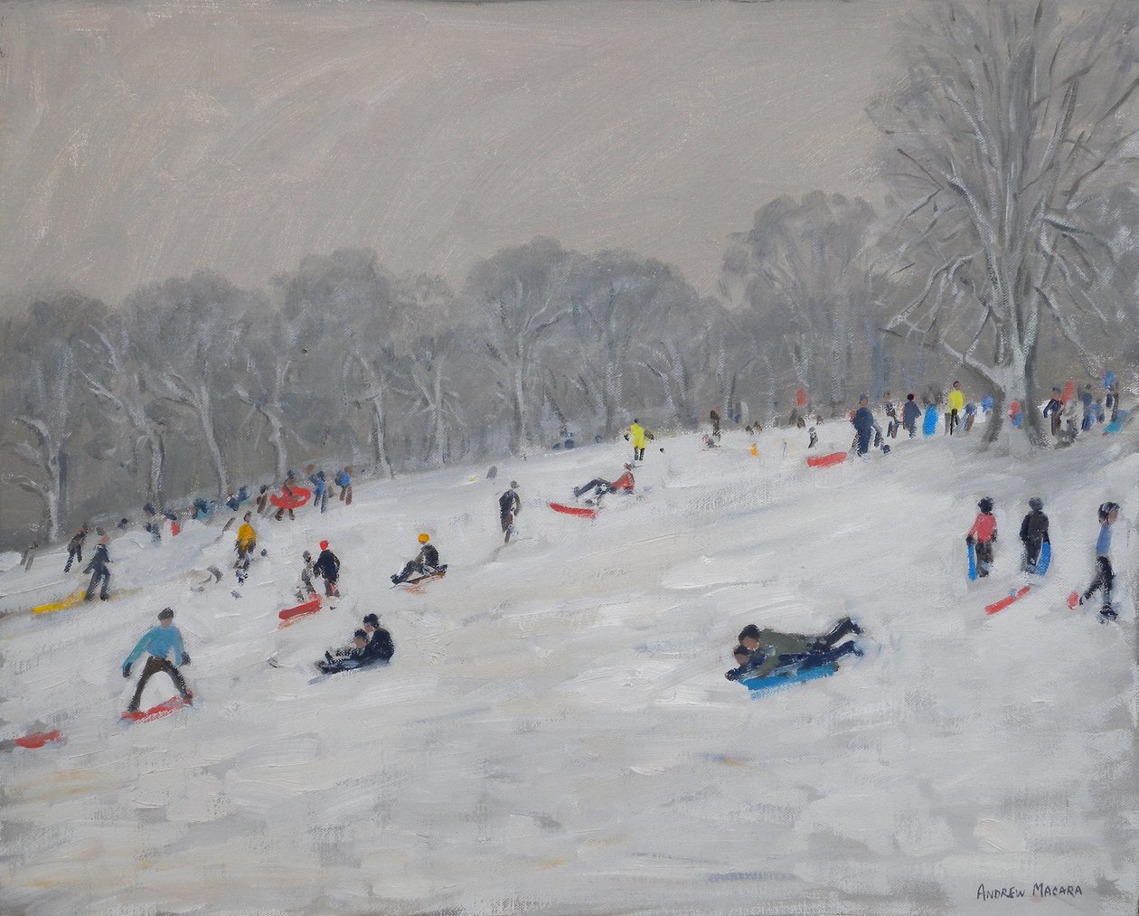 Winter, Darley Park, 2009 tekijältä Andrew Macara