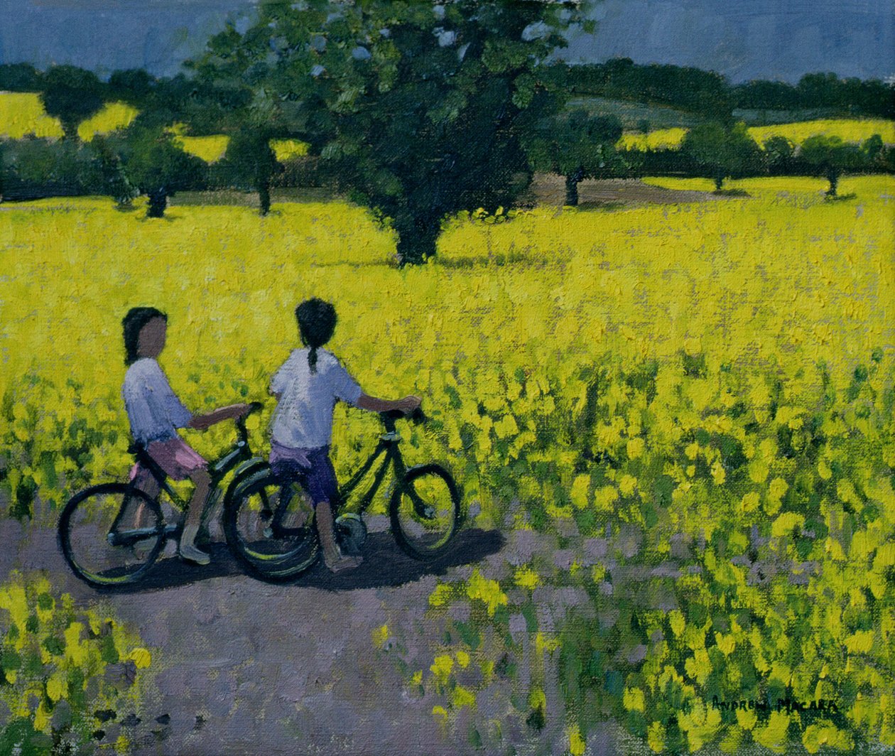 Yellow Field, Kedleston, Derby tekijältä Andrew Macara