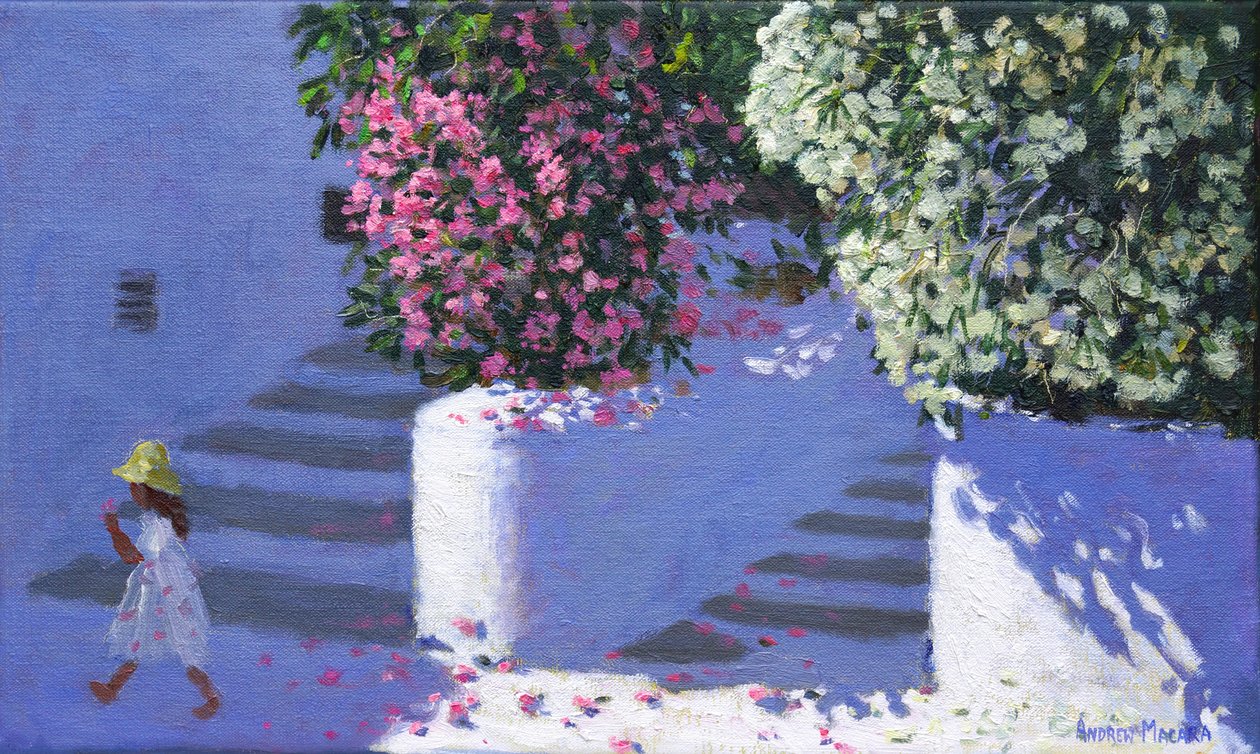 Bougainvillea,Anandas,Milos,Kreikan saaret, 2017, tekijältä Andrew Macara