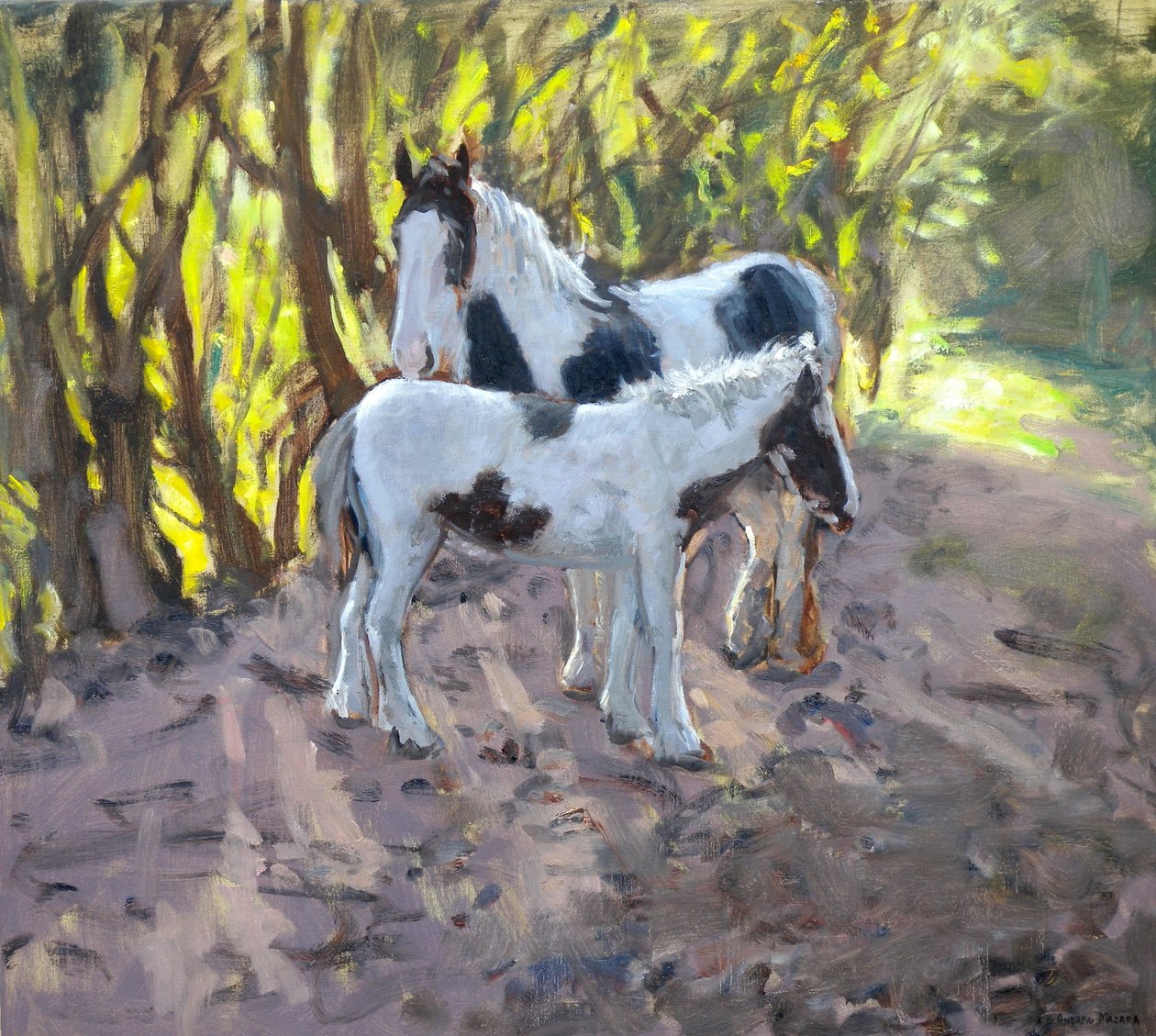 Tamma ja varsa, 2011 (öljy kankaalle) tekijältä Andrew Macara