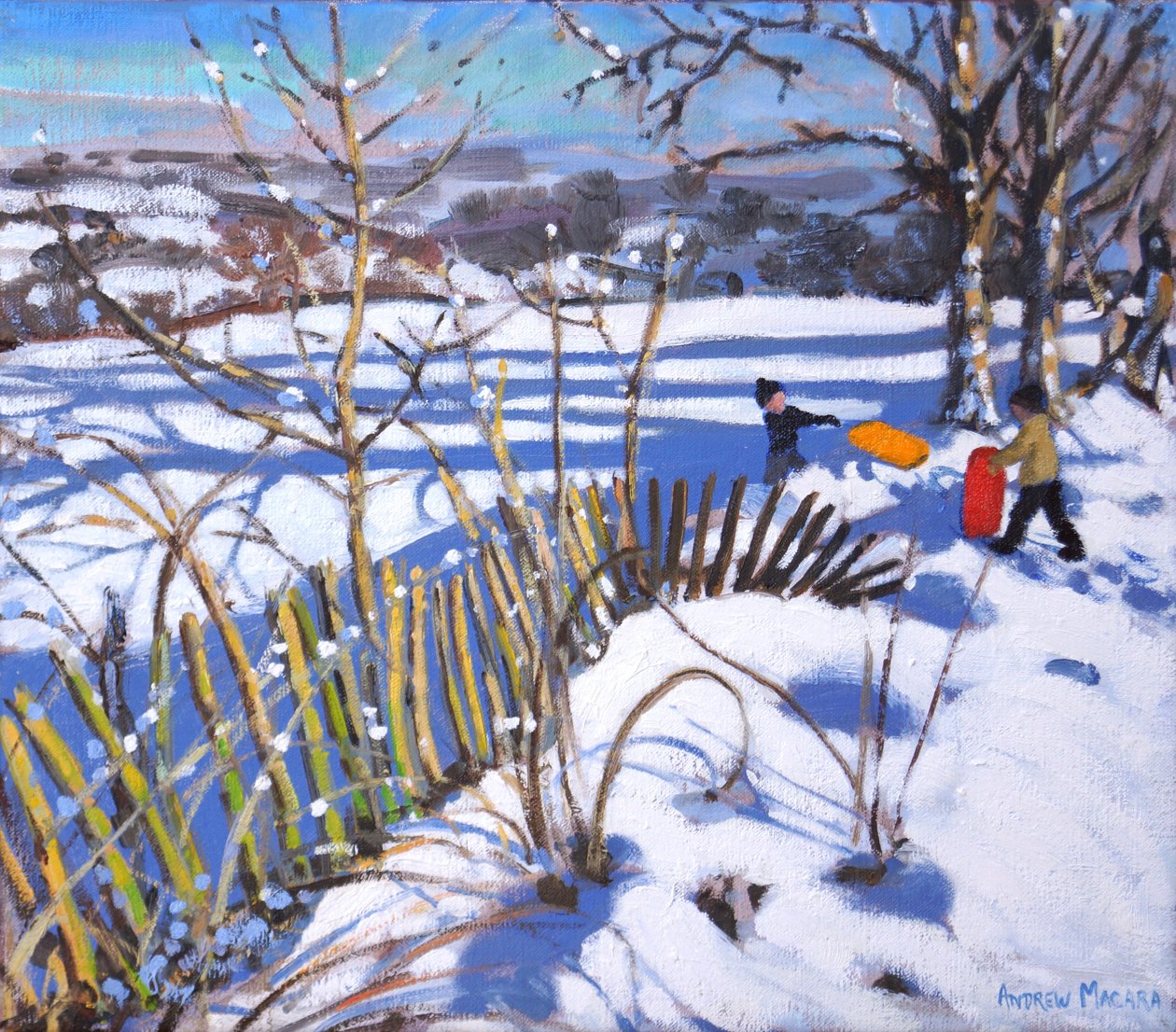 Punaiset ja oranssit kelkat,Derbyshire, 2017, tekijältä Andrew Macara